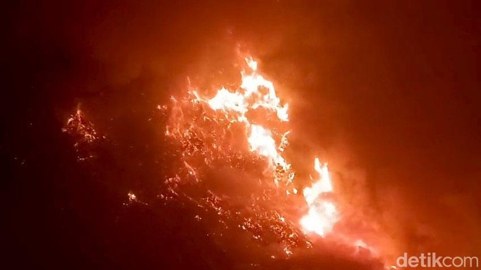 Kebakaran Bromo makin meluas