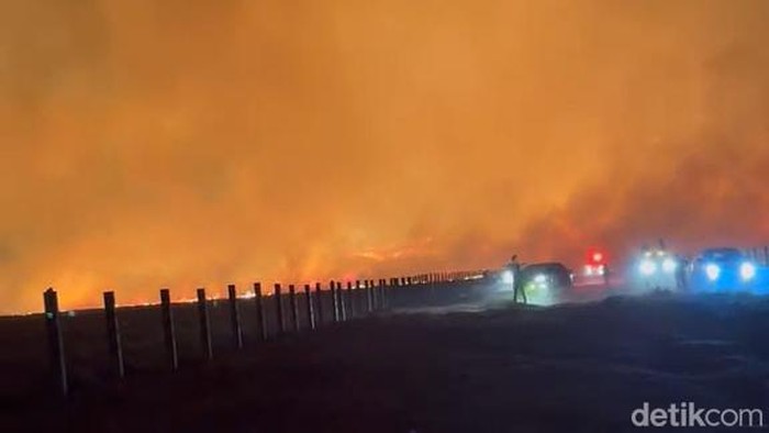 Kebakaran Bromo makin meluas