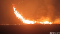 Dalam Sehari, Lahan Seluas 250 Hektare di Bromo Hangus Terbakar