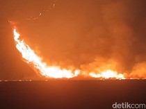 Dalam Sehari, Lahan Seluas 250 Hektare di Bromo Hangus Terbakar