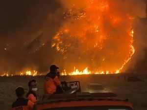 Kebakaran Makin Meluas, Wisata Bromo Terancam Ditutup Total
