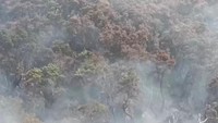 Mereka Bekerja Keras Memadamkan Api di Gunung Gede Pangrango