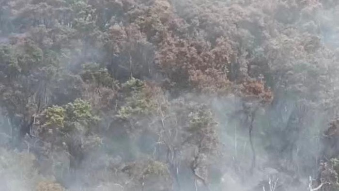 Kebakaran gunung gede pangrango
