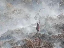 Mereka Bekerja Keras Memadamkan Api di Gunung Gede Pangrango