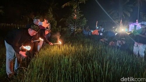 Keseruan Mobok Balang atau memburu belalang pada malam hari di Desa Tanak Beak, Lombok Tengah. Foto: (Edi Suryansyah/detikBali)