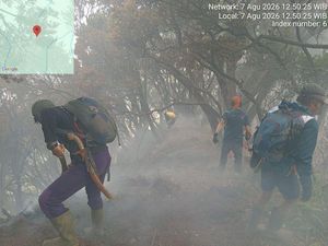 10 Ha Lahan Gunung Gede Hangus Usai 4 Hari Kebakaran, Sisa 4 Titik Api