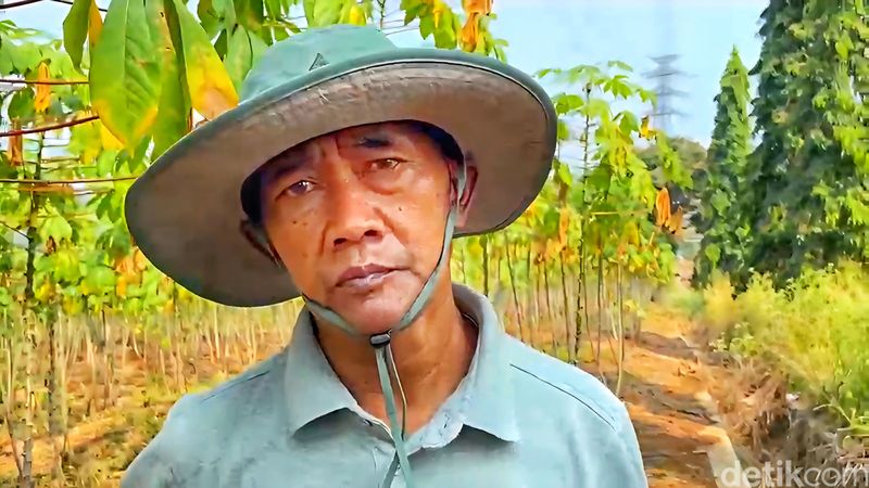 Purnawirawan TNI di balik renyahnya keripik singkong