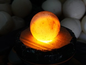 1.286 Telur Penyu Tak Bertuan Diperiksa, Ada yang Masih Berpeluang Menetas