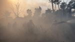 Petugas Gabungan Padamkan Kebakaran Lahan di Ogan Ilir