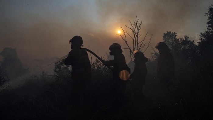 Petugas dari Manggala Agni Sumatera XIV-Banyuasin berupaya memadamkan kebakaran lahan di Desa Arisan Jaya, Kecamatan Pemulutan Barat, Ogan Ilir (OI), Sumatera Selatan, Sabtu (8/8/2026). Kebakaran lahan tersebut berhasil dipadamkan oleh petugas gabung