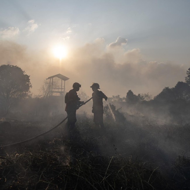 Petugas Gabungan Padamkan Kebakaran Lahan di Ogan Ilir