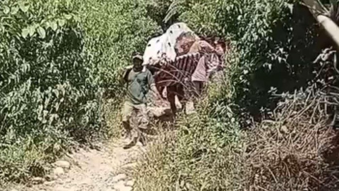 Warga di Mamasa, menandu Sitti (73) yang stroke sejauh 10 km ke puskesmas karena akses jalan rusak.