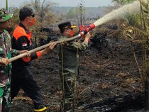 Luas Karhutla di Jambi Capai 658 Hektare, Al Haris Pastikan Satgas Terus Bergerak