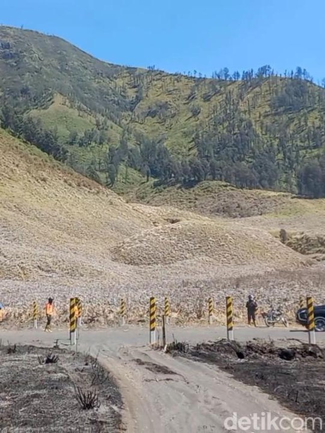 Dampak Kebakaran Bromo Meluas