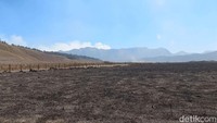 Selain personel di lapangan, Emil menyebut water bombing menggunakan helikopter terus digencarkan oleh BNPB bersama Pemprov Jatim.
