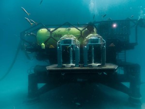 Startup Ini Bikin Tempat Tinggal di Bawah Laut Ala Bikini Bottom