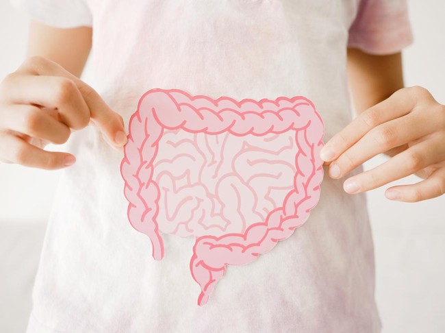 hands holding intestine shape, healthy bowel digestion, leaky gut, probiotics and prebiotics for gut health, colon, gastric, stomach cancer concept