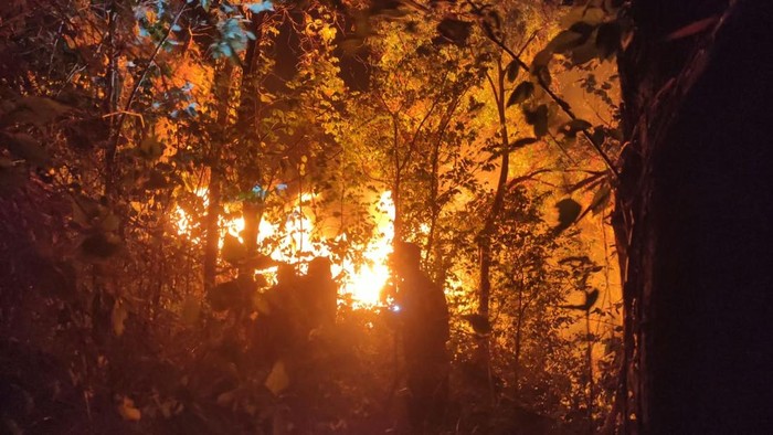 Kebakaran di Gunung Klotok Kediri