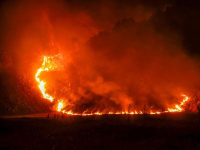 Kebakaran Meluas di TNBTS, Upaya Pemadaman Terus Dilakukan