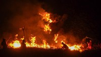 Waspada Fenomena El Nino Godzilla, Bisa Bikin Kebakaran Hutan Makin Parah