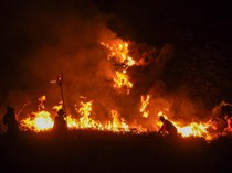 Waspada Fenomena El Nino Godzilla, Bisa Bikin Kebakaran Hutan Makin Parah