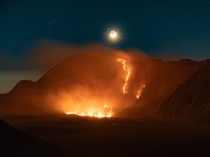 Asal Muasal Kobaran Api yang Hanguskan Ratusan Hektare Lahan di Bromo