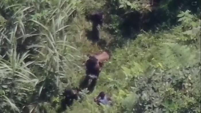 Pantauan udara terkait kondisi anggota KKB yang terkapar ditembak polisi di Mimika.
