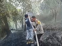 Ada 298 Karhutla di Palangka Raya Sejak Juni, 261,41 Ha Lahan Terbakar