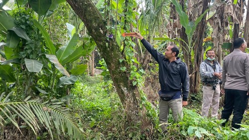 Polisi melakukan olah TKP kasus bunuh diri di Banjar Keliki, Desa Kelusa, Kecamatan Payangan, Gianyar, Bali, Minggu (9/8/2026). (Foto: Dok. Polsek Payangan)