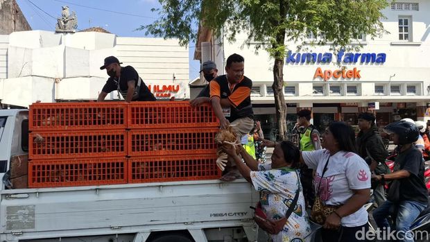 Aksi peternak di DIY bagi-bagi ayam petelur gratis di kawasan Malioboro Jogja, Senin (10/8/2026) Aksi peternak di DIY bagi-bagi ayam petelur gratis di kawasan Malioboro Jogja, Senin (10/8/2026)