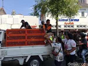 Broker Dituding Jadi Faktor Anjloknya Harga Telur di Jogja