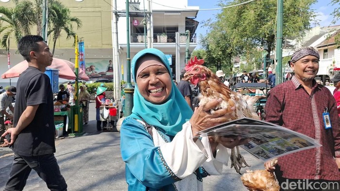 Aksi peternak di DIY bagi-bagi ayam petelur gratis di kawasan Malioboro Jogja, Senin (10/8/2026)