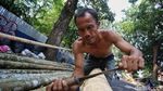 Batang Pinang Mulai Diburu Jelang Perayaan HUT RI