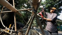 Bagi pedagang, momentum menjelang 17 Agustus menjadi periode penting karena kebutuhan terhadap batang pinang meningkat dibandingkan hari-hari biasa. Jumlah pesanan juga sangat bergantung pada banyaknya lingkungan yang masih menyelenggarakan perlombaan tersebut.