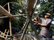 Batang Pinang Mulai Diburu Jelang Perayaan HUT RI