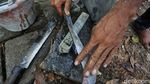 Batang Pinang Mulai Diburu Jelang Perayaan HUT RI