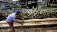 Menjelang peringatan HUT ke-81 Kemerdekaan Republik Indonesia, aktivitas perdagangan batang pohon pinang mulai meningkat di sejumlah kawasan Jakarta. Salah satunya terlihat di Manggarai, Jakarta, kemarin.