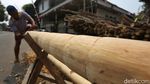 Batang Pinang Mulai Diburu Jelang Perayaan HUT RI