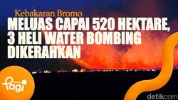 Video: Kebakaran Bromo Meluas Capai 520 Hektare, 3 Heli Water Bombing Dikerahkan