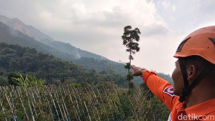 Relawan menunjukan asap di hutan kawasan Gunung Andong, Kabupaten Magelang, Senin (10/8/2026).