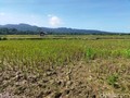 Ilmuwan Kaget Lihat Ganasnya El Nino 2026