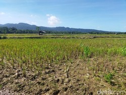 Ilmuwan Kaget Lihat Ganasnya El Nino 2026