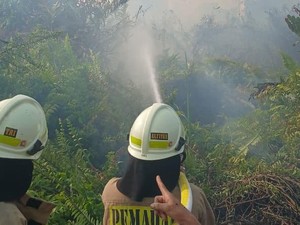 Area Terbakar di Kampung Bandan Jakut Capai 0,5 Hektare, Dipicu Puntung Rokok