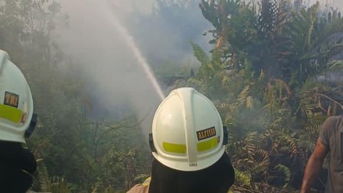 Kebakaran alang-alang terjadi di dekat Stasiun Kampung Bandan, Jakarta Utara. Perjalanan KRL sempat terganggu. (Dok. Damkar Jakut)