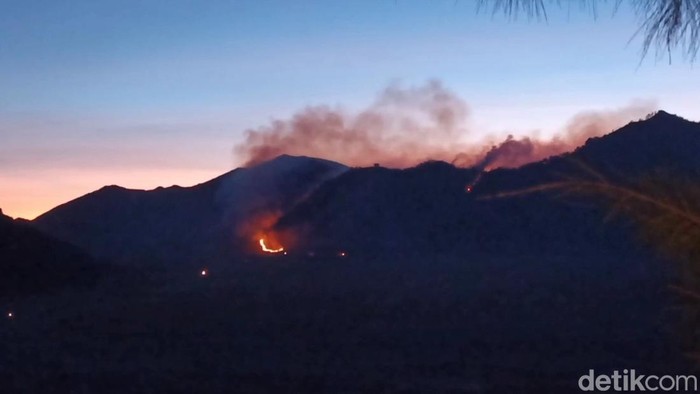 Kebakaran hutan di Bromo.