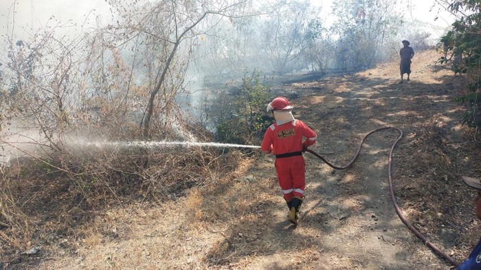 Kebakaran lahan di Pinrang, melanda 16 hektare akibat pembukaan lahan dan pembakaran sampah.