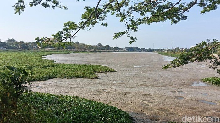 Kondisi mengeringnya Waduk Bojongsari Indramayu.