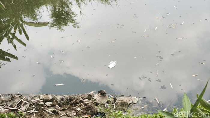 Kondisi Sungai Babon di Plamongansari, Pedurungan, Kota Semarang diduga tercemar limbah lagi, Senin (10/8/2026).
