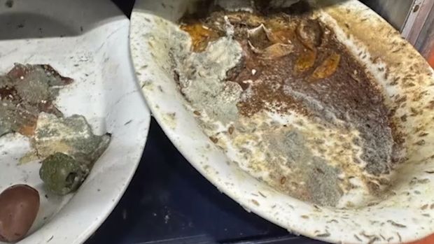 Katering di Bandara Ini Disorot, Pekerja Laporkan Temuan Belatung dan Jamur