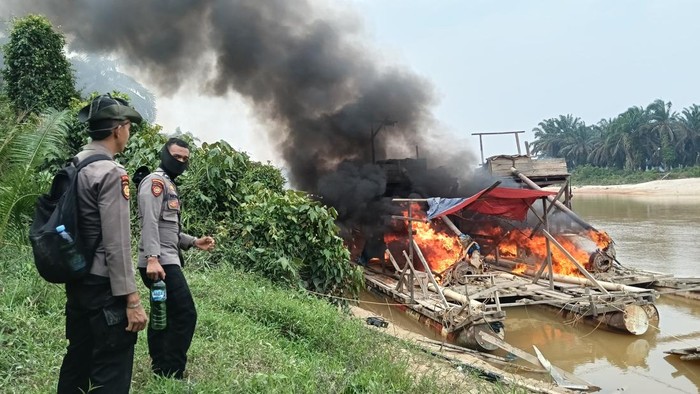 Polda Riau menggelar Operasi PETI Merah Putih Kuantan. Selama 10 hari operasi, sebanyak 400 lebih rakit dimusnahkan dan 15 tersangka dijerat. Pada Senin (10/8/2026), petugas gabungan memusnahkan 81 rakit PETI di Kuansing.